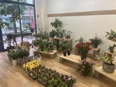 「お花屋さん」期間限定オープンのお知らせ