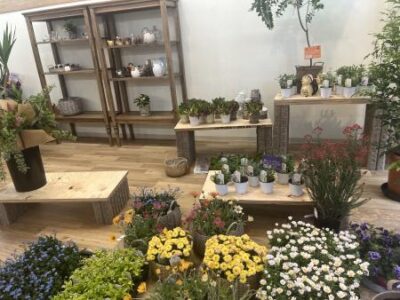 「お花屋さん」期間限定オープンのお知らせ